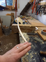 20250124_163753_copy_1500x2000.jpg