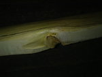 09102011269.jpg (200.6 KiB) 2676 mal betrachtet Ast vorher von der Seite