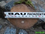 Hollunder Durchmesser.jpg (419.73 KiB) 5773 mal betrachtet Max. Durchmesser 10 cm
