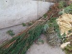 Wertstoffhof.JPG (151.05 KiB) 4691 mal betrachtet Sa 16.02. Wertstoffhof