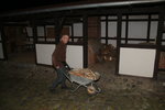 Immer diese Holzdiebe