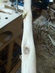 IMG_20180104_072654.jpg (125.15 KiB) 14540 mal betrachtet Seitlicher Totast, landet wohl auf dem Bauch...