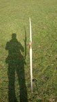 DSC_1469.JPG (454.07 KiB) 8003 mal betrachtet Sehnenlage ist in der Mitte, trotz leichtem Propeller<br />(wurde gedämpft)
