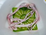 Das sind 2 Straussensehnen und die zweitekligste Sache die ich je gemacht habe.Im Gefrierschrank ist noch ein Paar ,da muß ich auch noch ran.