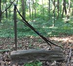 FE168DD4-17F5-4720-A1EB-9BD6D6F02847.jpeg (421.77 KiB) 9696 mal betrachtet Bridled Dragons