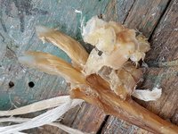 20181028_164001.jpg