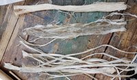 20181028_162714.jpg