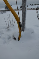 Der Recurve im Detail