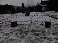 nachher
