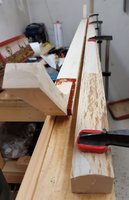 Hier Hasel mit sehr schöner Rückenwölbung  und Hainbuche -