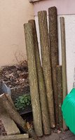 20190312_115147.jpg (348.78 KiB) 8895 mal betrachtet Alle Stämme mind. 210 cm