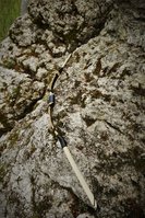 DSC09283.jpg