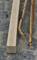 F0.JPG (211.21 KiB) 4028 mal betrachtet Hickory Bretterstave 4x4x190 cm um €33,--
