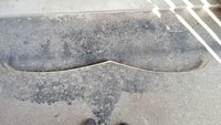 IMG_20190822_180427.jpg