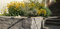 DSC01392.JPG