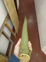 klein_IMG_20191210_182341.jpg