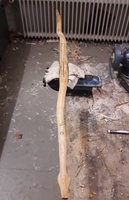 Bei dem Knubbel am WA-Ende bin ich mir noch unsicher wie viel ich runternehmen soll, weil der ja von Ameisen angekaut worden ist.. Siehe erste Bilder..