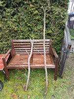 Die Reste vom Sapling, gibt schöne Werkzeug Stiele, der rechte eventuell einen Kinder Bogen