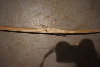 DSC02667.JPG