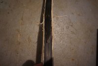 DSC02668.JPG