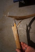 DSC02669.JPG