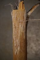 DSC02670.JPG