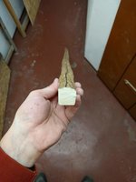 IMG_20200119_134418.jpg