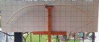 Sap2020_Roteiche_2a_VollauszugKreise0125.jpg