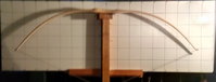 Sap2020_Roteiche_2a_Tillern0129.jpg