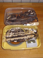 Die zum Exsikkator umfunktionierte Brotzeitdose wartet bereits auf