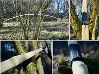 zurück in seinem Habitat