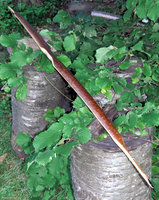 06 Hasel-Mölle Rücken oWA rechts.jpg