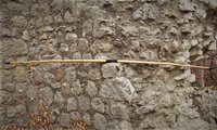 DSC02964.JPG