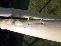 DSCN0651.JPG