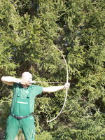 Vollauszug, man beachte den Sehnenwinkel!