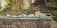 DSC03326.JPG