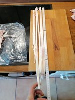 Die längsten Sehnen die ich bisher hatte 57cm