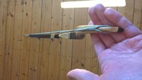 Manau Recurve (2a).jpg