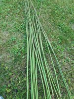 Die Brennessel ernten und anschließend durch die Hand ziehen um Blätter und Brennhaare zu entfernen