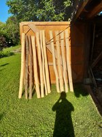 WhatsApp Image 2020-07-09 at 18.53.16.jpeg