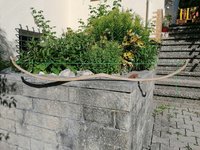IMG_20200712_174036.jpg