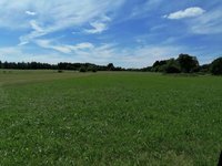 IMG_20200713_144411.jpg