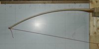 WA Links 12&quot;