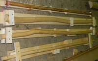 Hasel + 3mal Roter Bergahorn