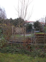 DSCN0675.JPG (455.89 KiB) 9046 mal betrachtet im Habitat an der Grundstücksgrenze