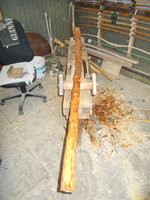 DSCN0701.JPG (439.09 KiB) 9032 mal betrachtet ist gleich wieder braun geworden