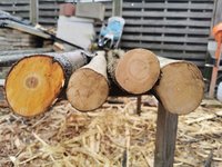 IMG_20210104_115120_1_compress16.jpg