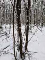 IMG-20210109-WA0004.jpg