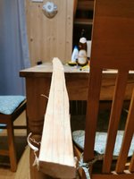 IMG_20210114_212410_compress92.jpg