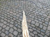 immerhin gerade